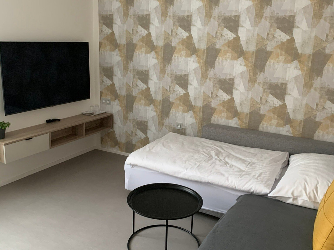 Wellness Hotel Fénix主图