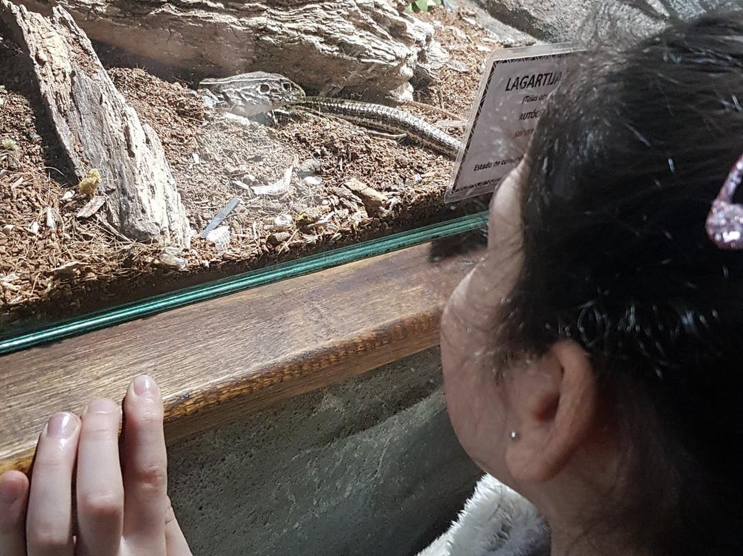 Serpentario Educativo de Tigre-蒂格雷必去景点