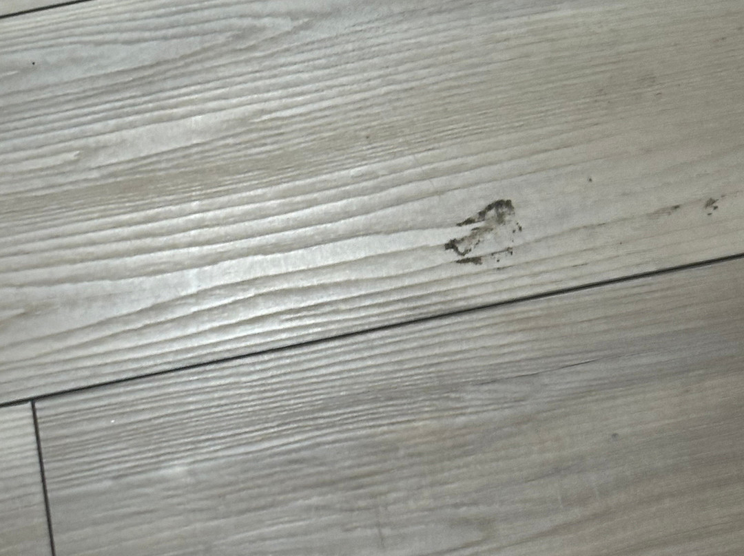 Days Inn by Wyndham Rutland/Killington Area主图