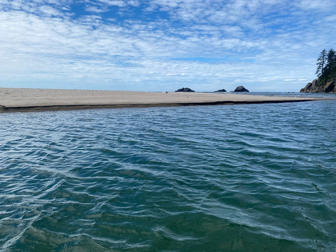 Safari Town Surf Shop-林肯城必去景点