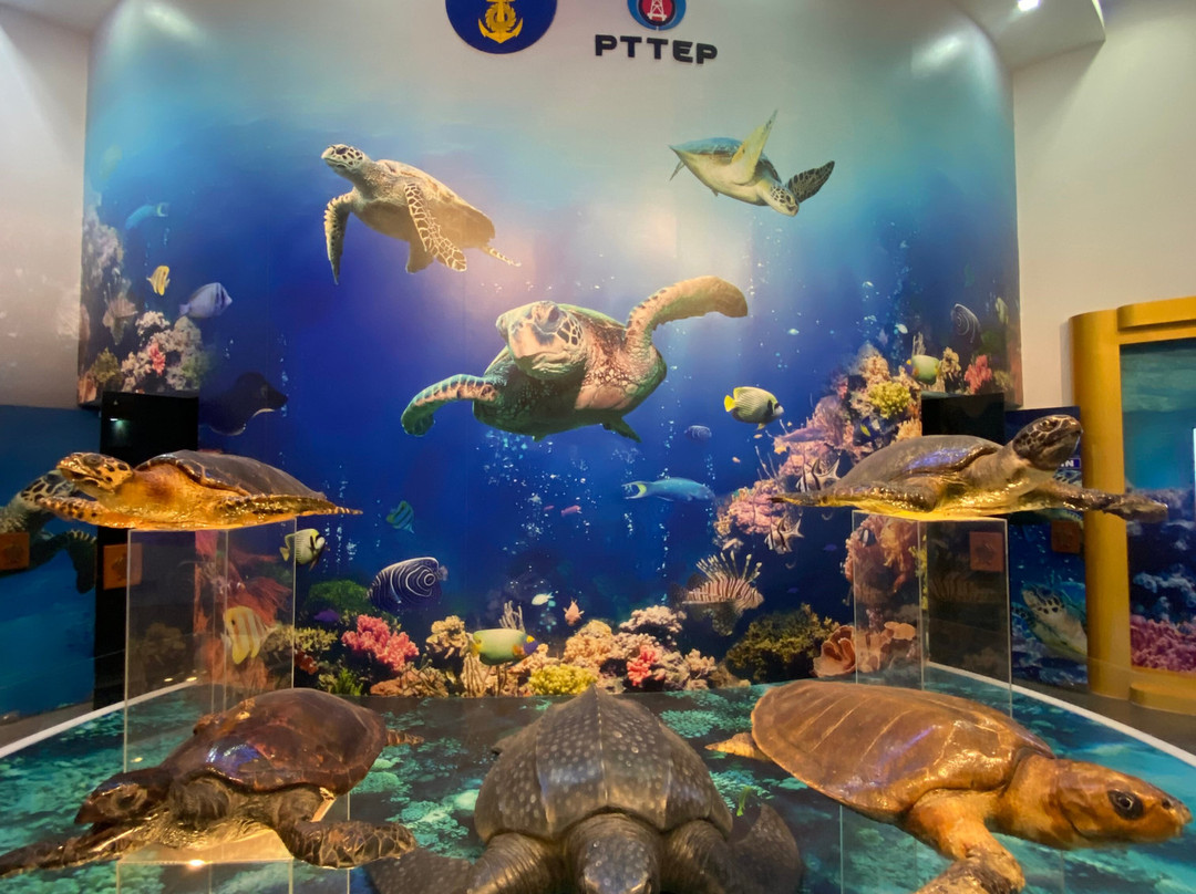 Sea Turtle Conservation Center, Sattahip-色桃邑必去景点