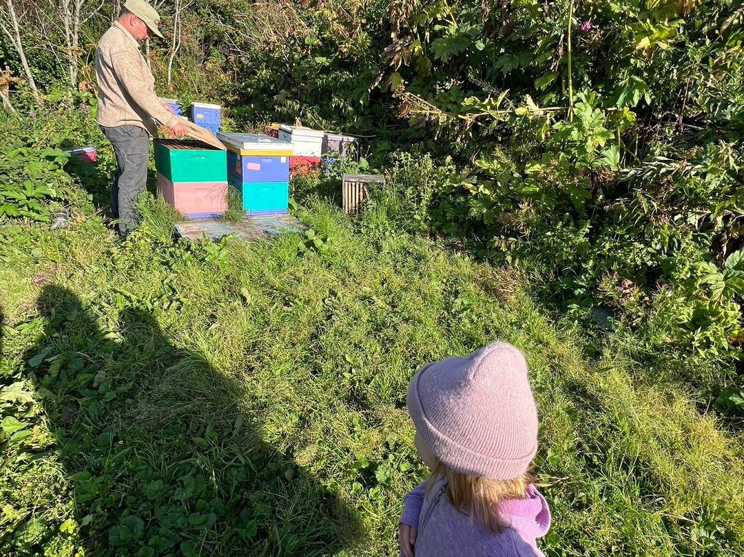 Stoked Honeybee Farm-荷马必去景点