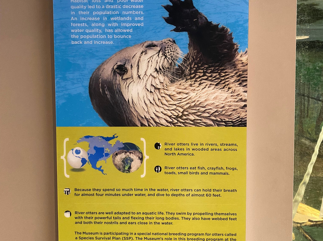 Boonshoft Museum of Discovery-代顿必去景点