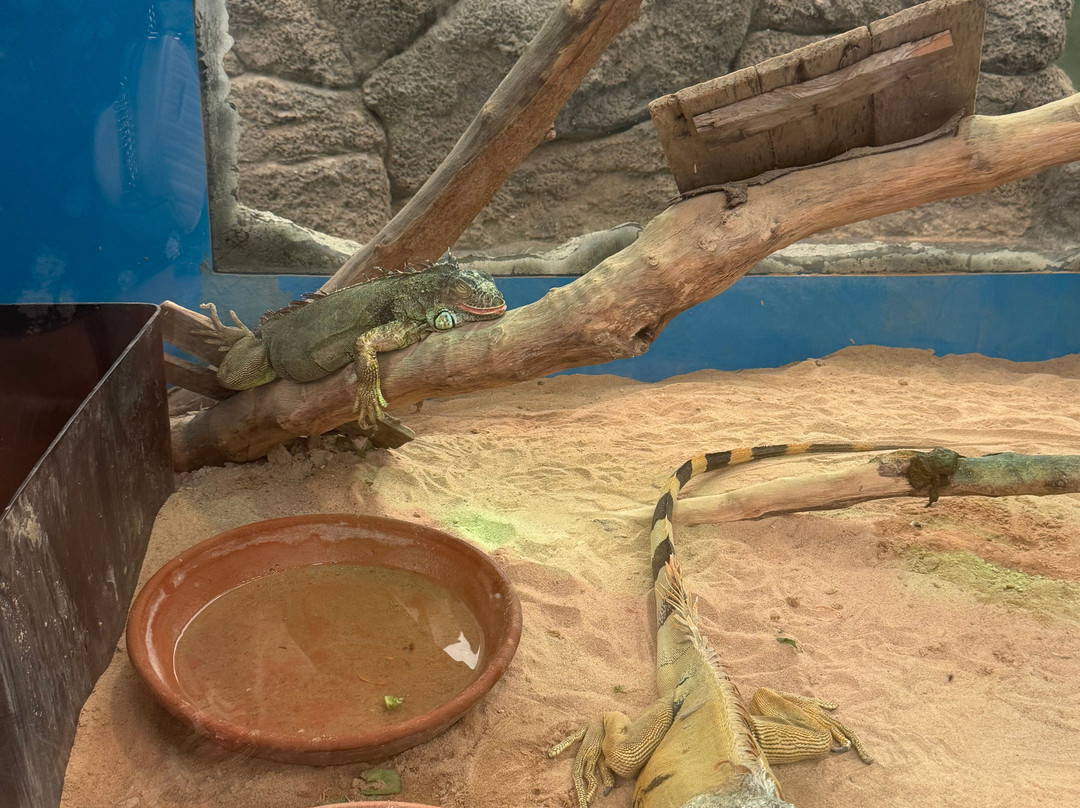 Underwater World Pattaya-Nong Prue必去景点