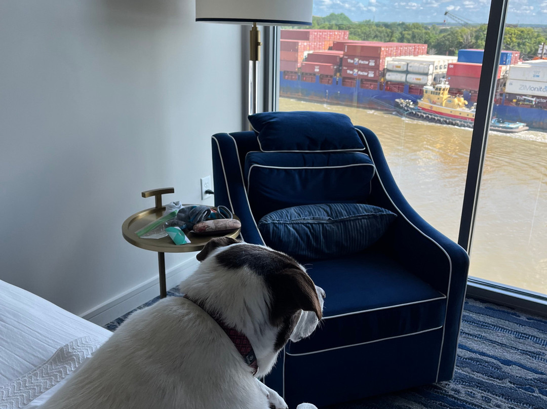 JW Marriott Savannah Plant Riverside District主图