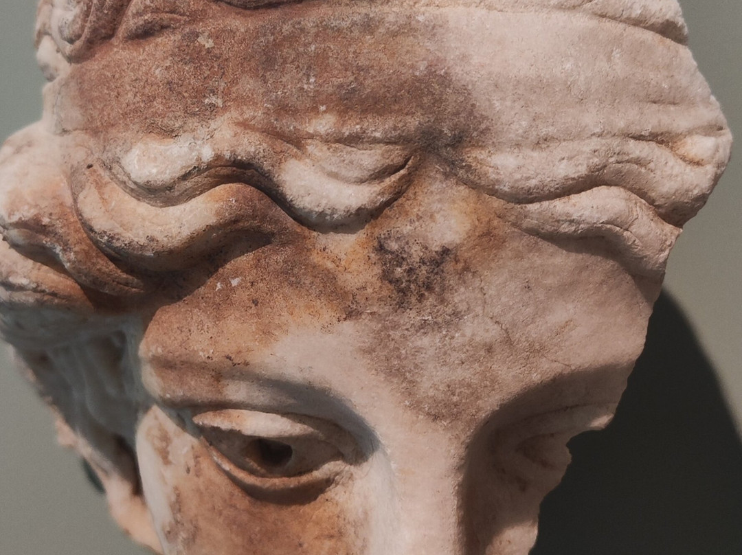 Museo Archeologico Nazionale di Aquileia景点图片