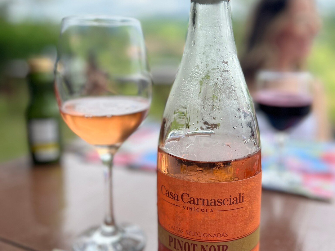 Vinicola Casa Carnasciali景点图片