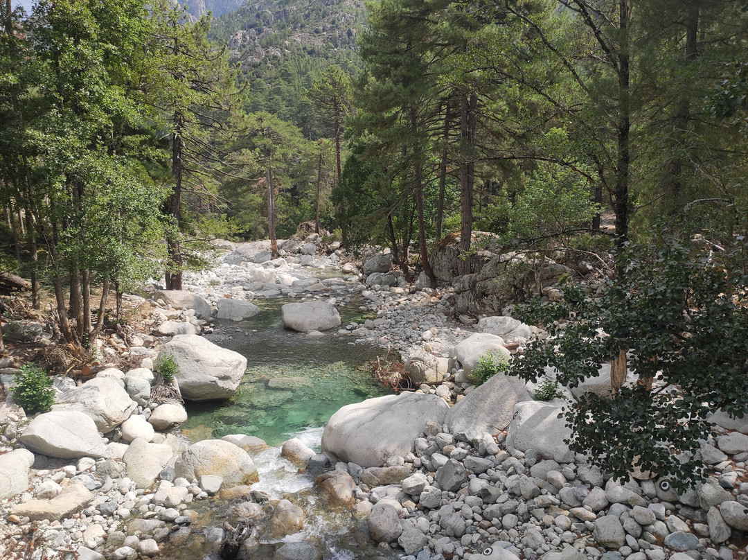 Gorges De La Restonica-科西嘉必去景点