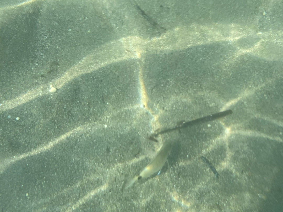Kontokali Beach景点图片