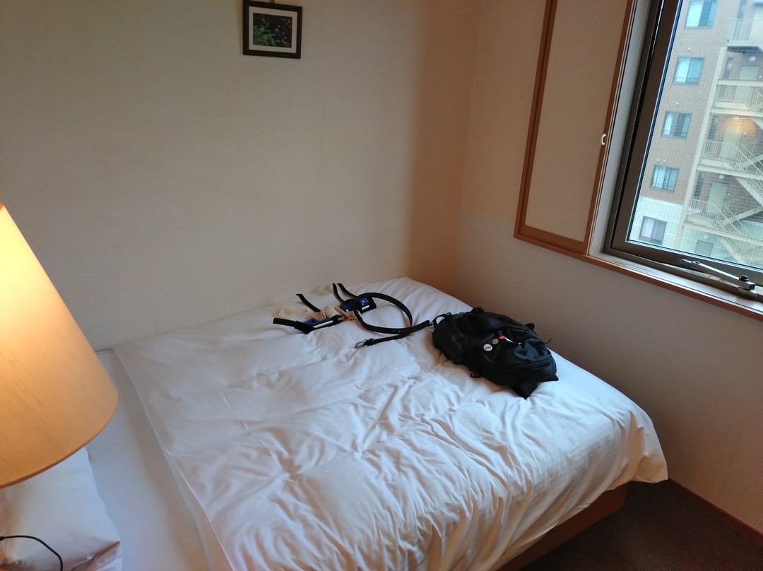 奈良阳光酒店主图