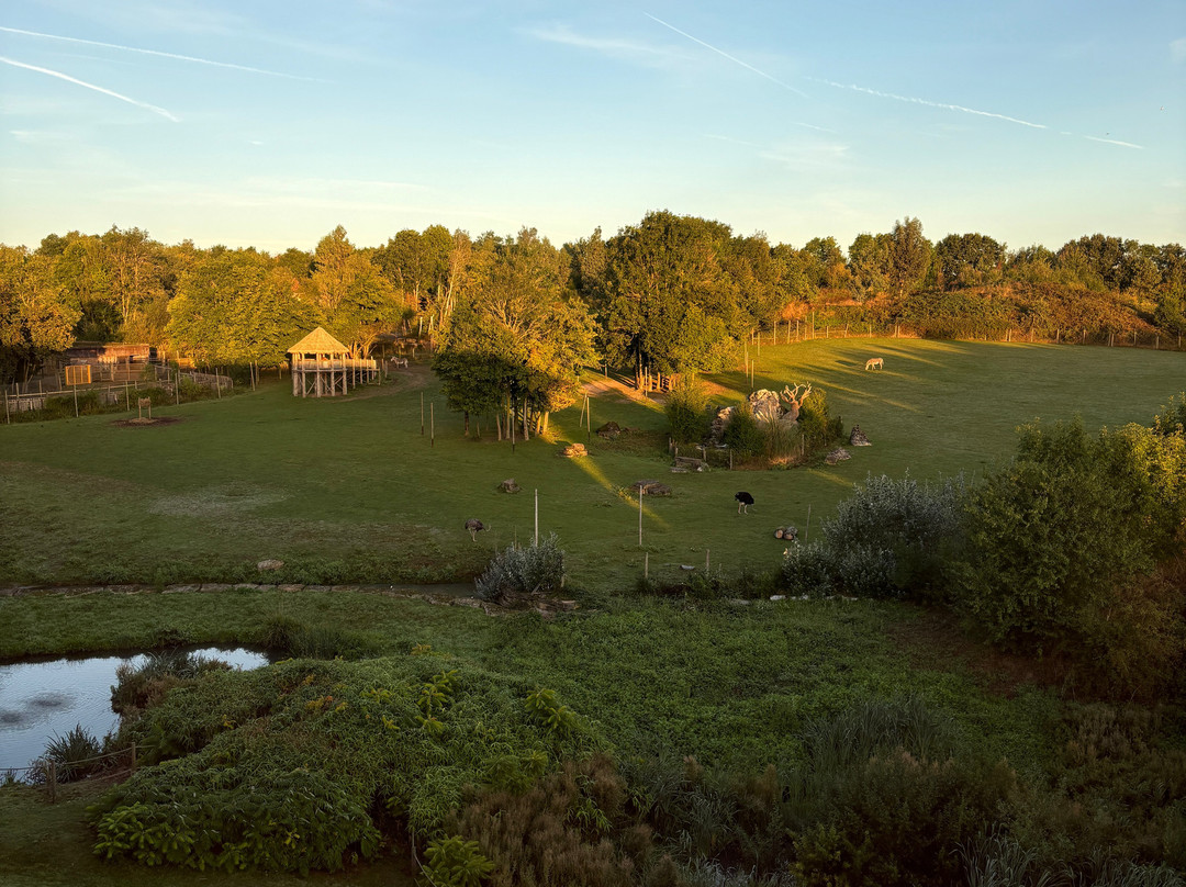 Chessington Safari Hotel主图