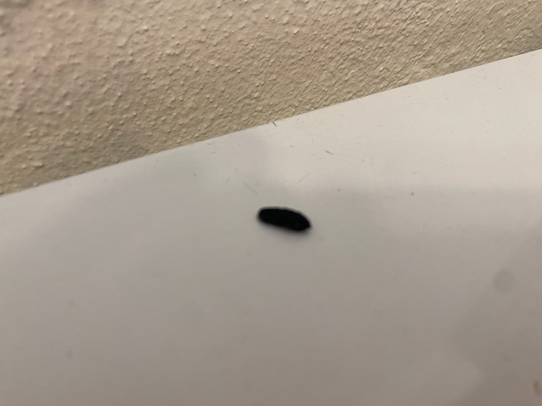 布莱克希斯汽车旅馆主图