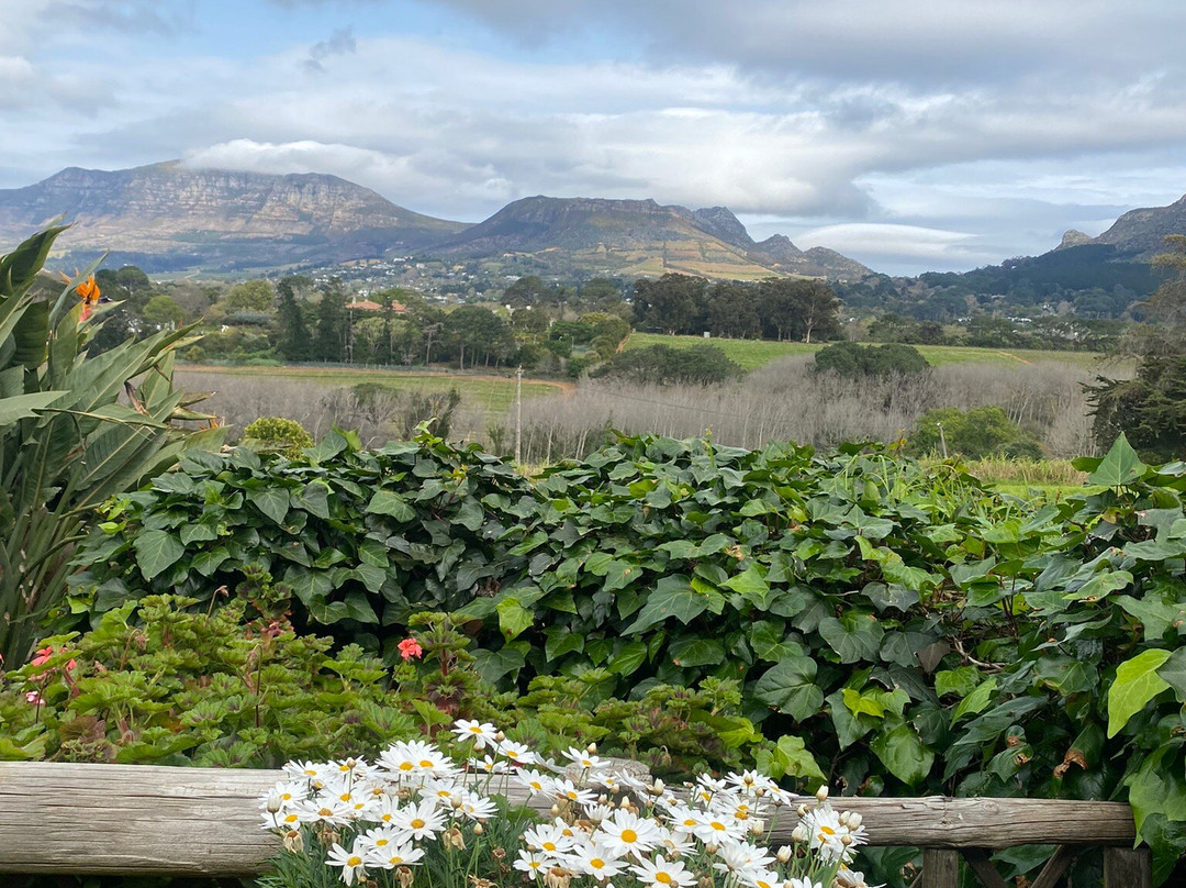 Chart Farm-开普敦中心区必去景点