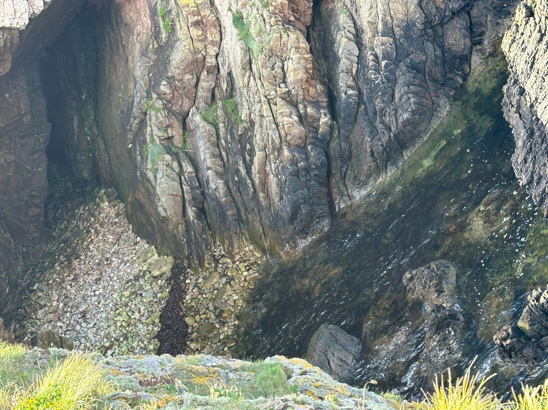 Bow Fiddle Rock-Portknockie必去景点