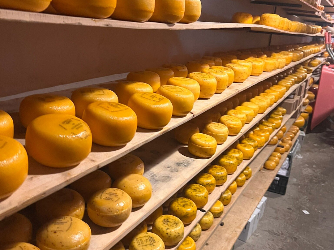 Clara Maria Cheese & Clog Farm景点图片