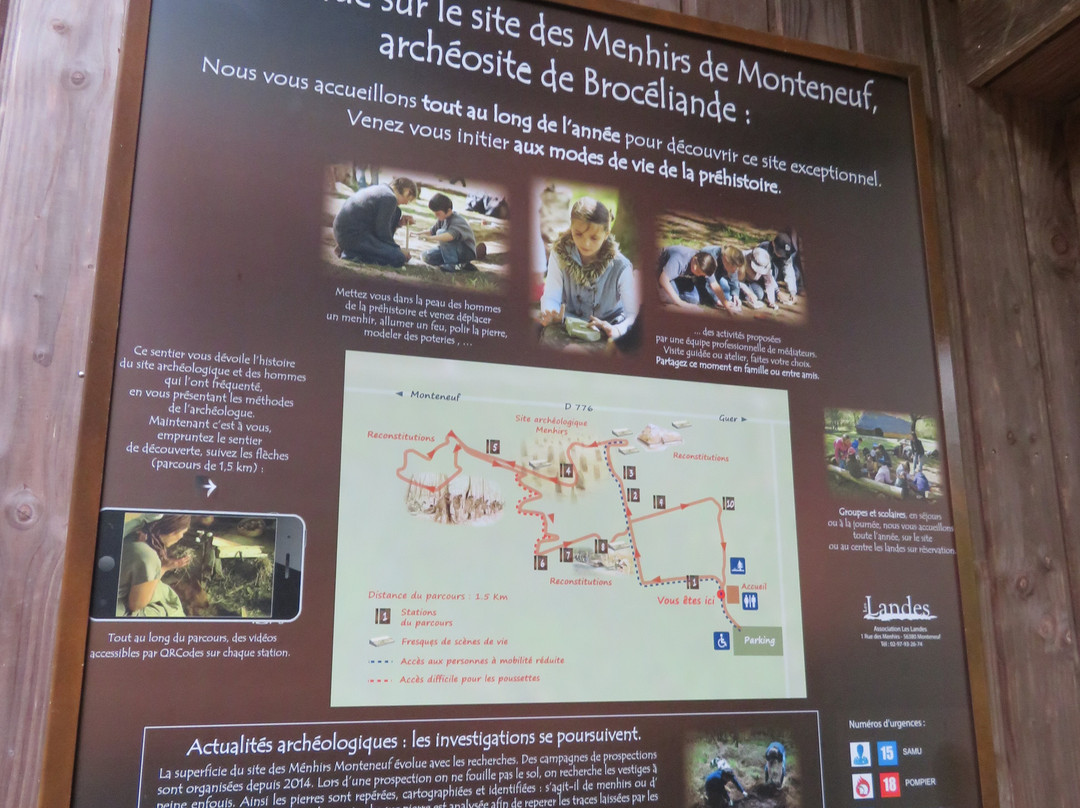 Menhirs de Monteneuf景点图片