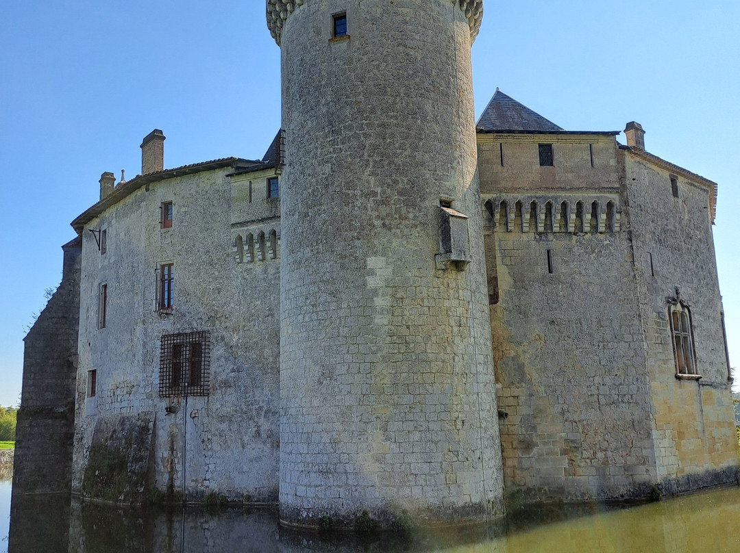 Château de La Brède - Montesquieu景点图片