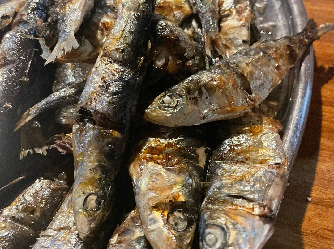 Aquarium Cap Blanc-圣安东尼德波特曼尼必去景点