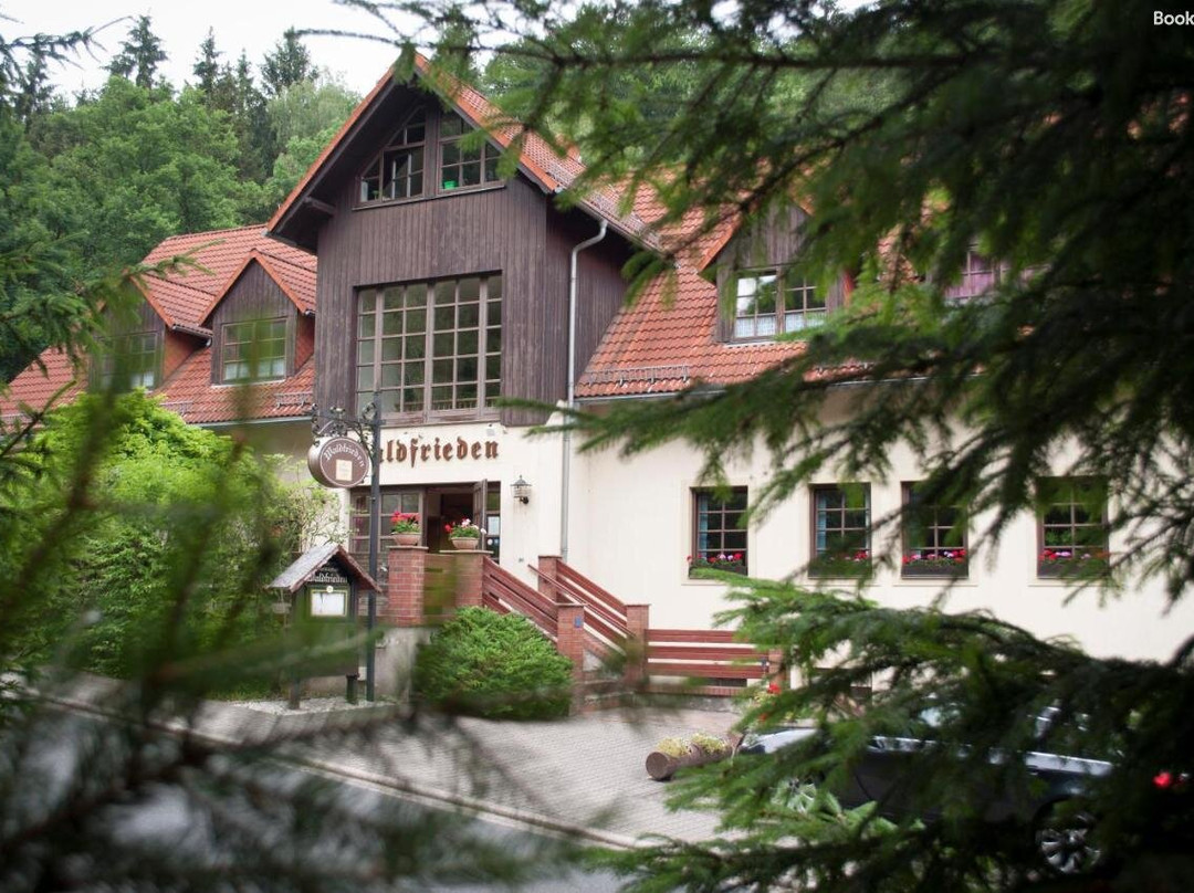 Pension Waldfrieden主图