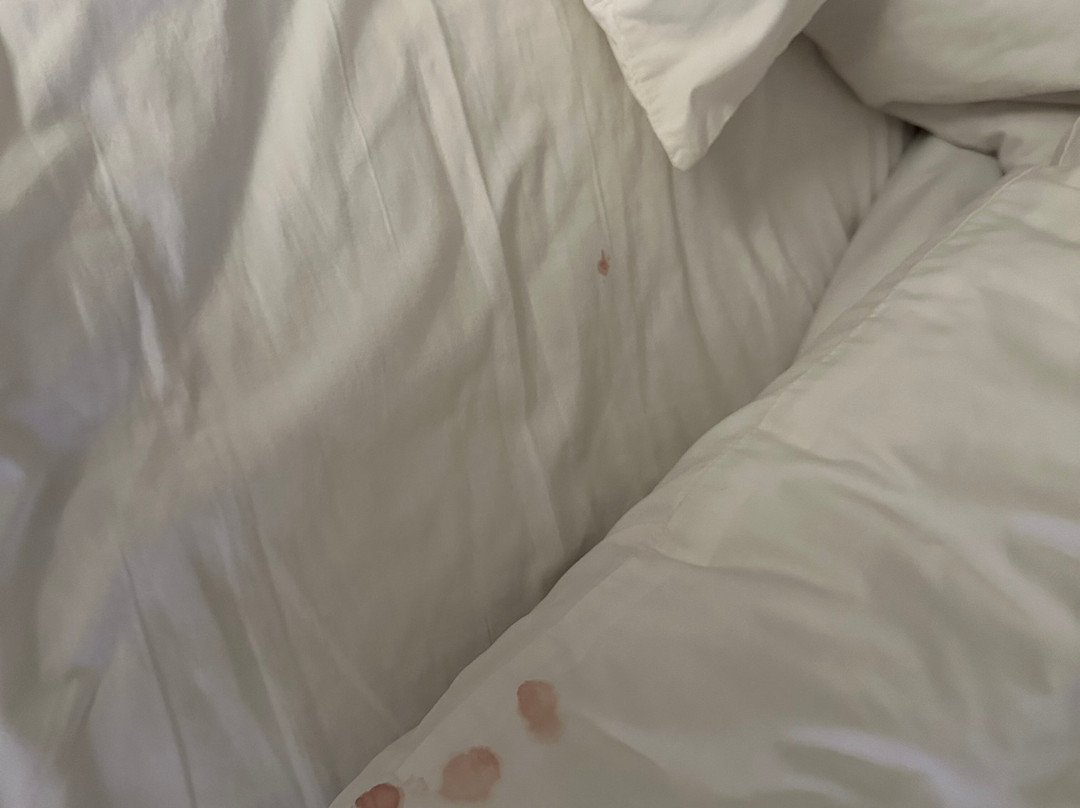 Hampton Inn Palm Beach Gardens主图