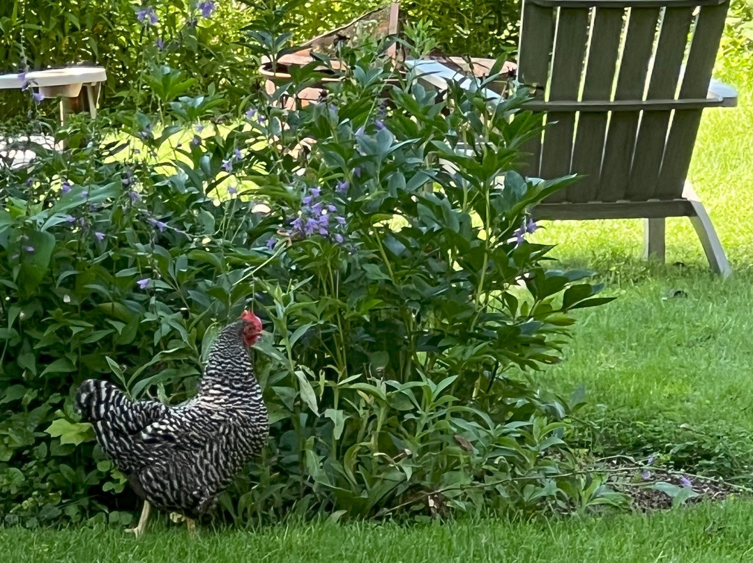 Sinclair Inn B & B主图