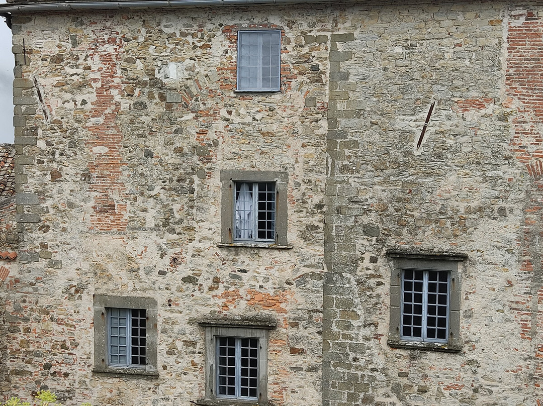 Castello Malaspina景点图片