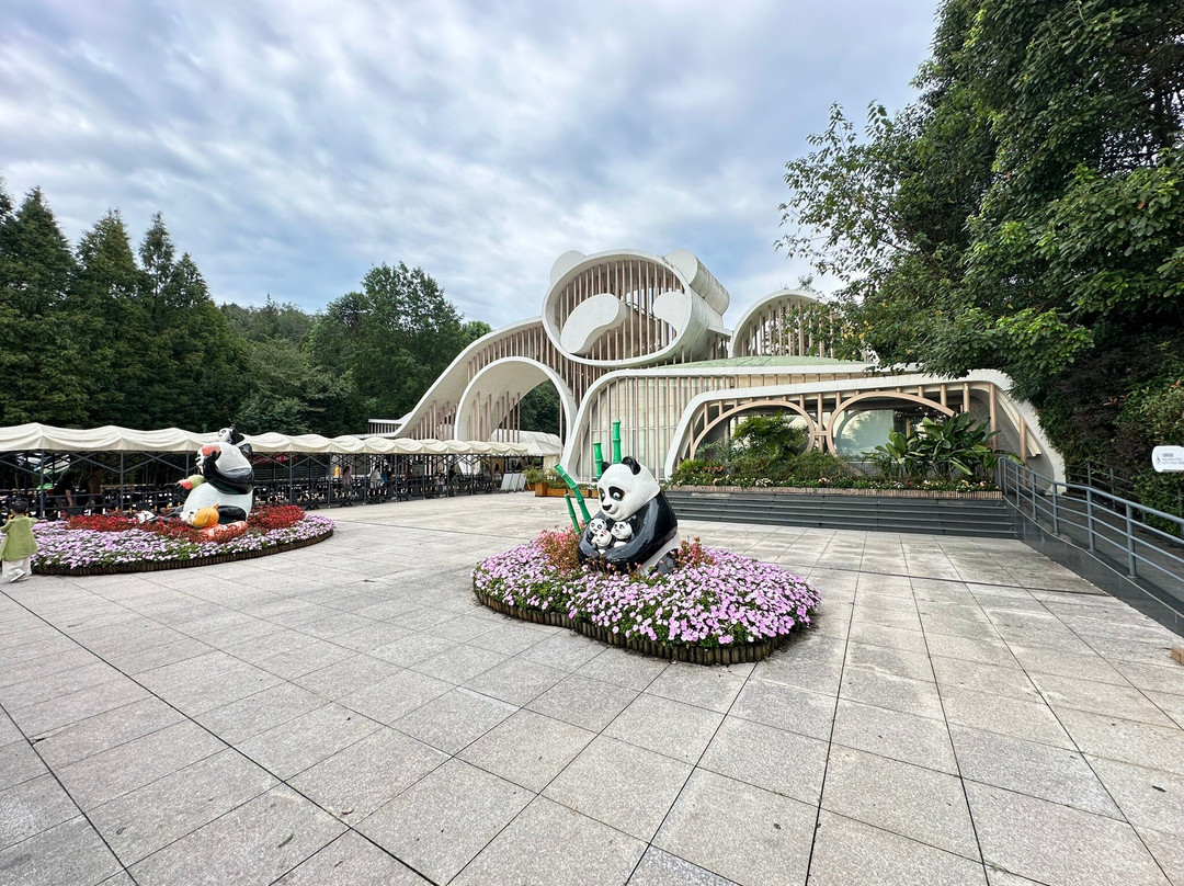 大熊猫谷-都江堰市必去景点