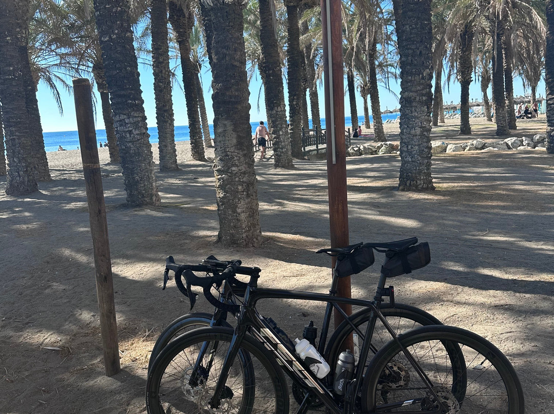 Bikestardo景点图片