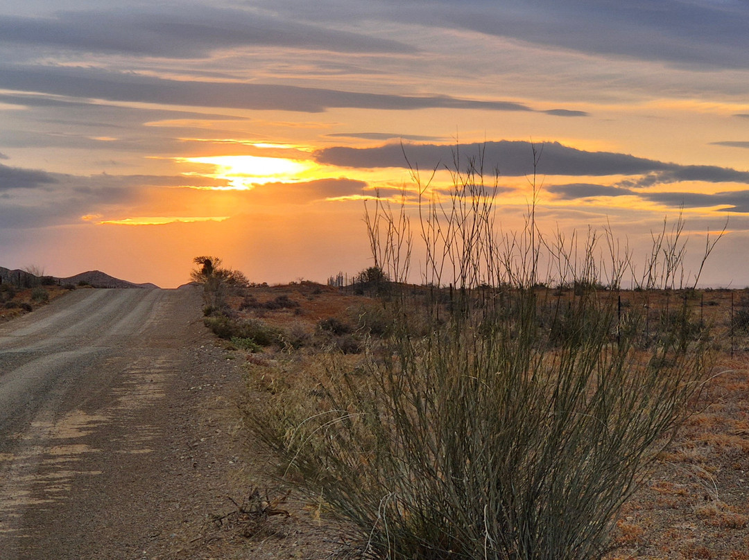 Karoo GravelGrinder-Prince Albert必去景点
