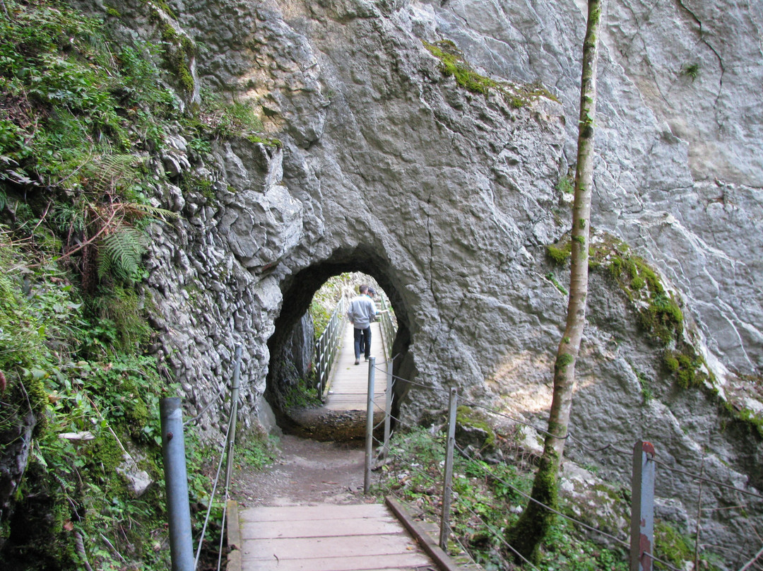 Les Gorges de la Jogne景点图片