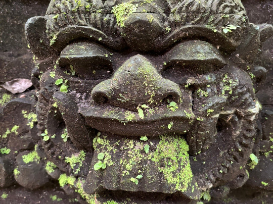 Ubud Story Walks-乌布必去景点