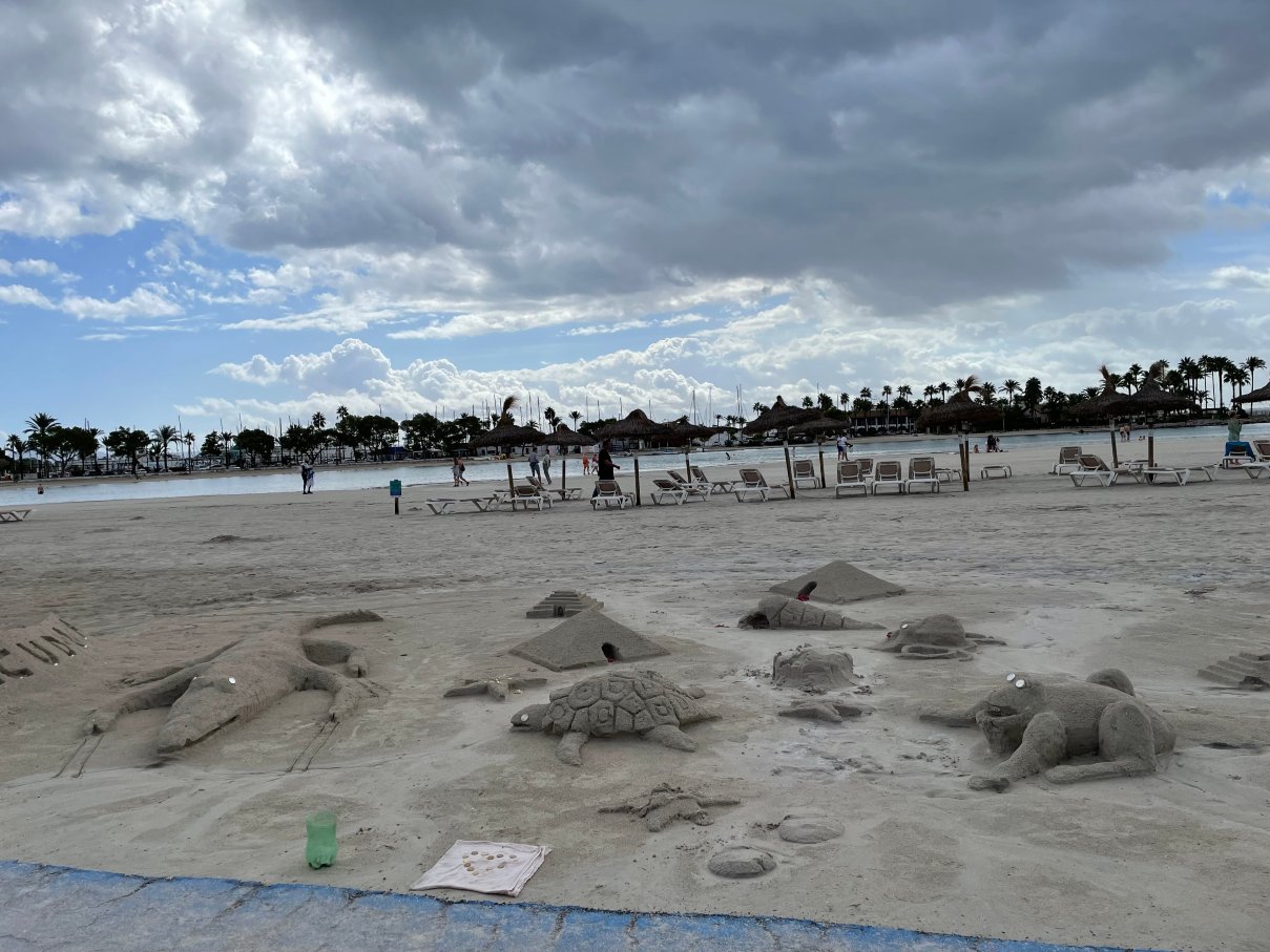 Zafiro Palace Alcudia-泳池