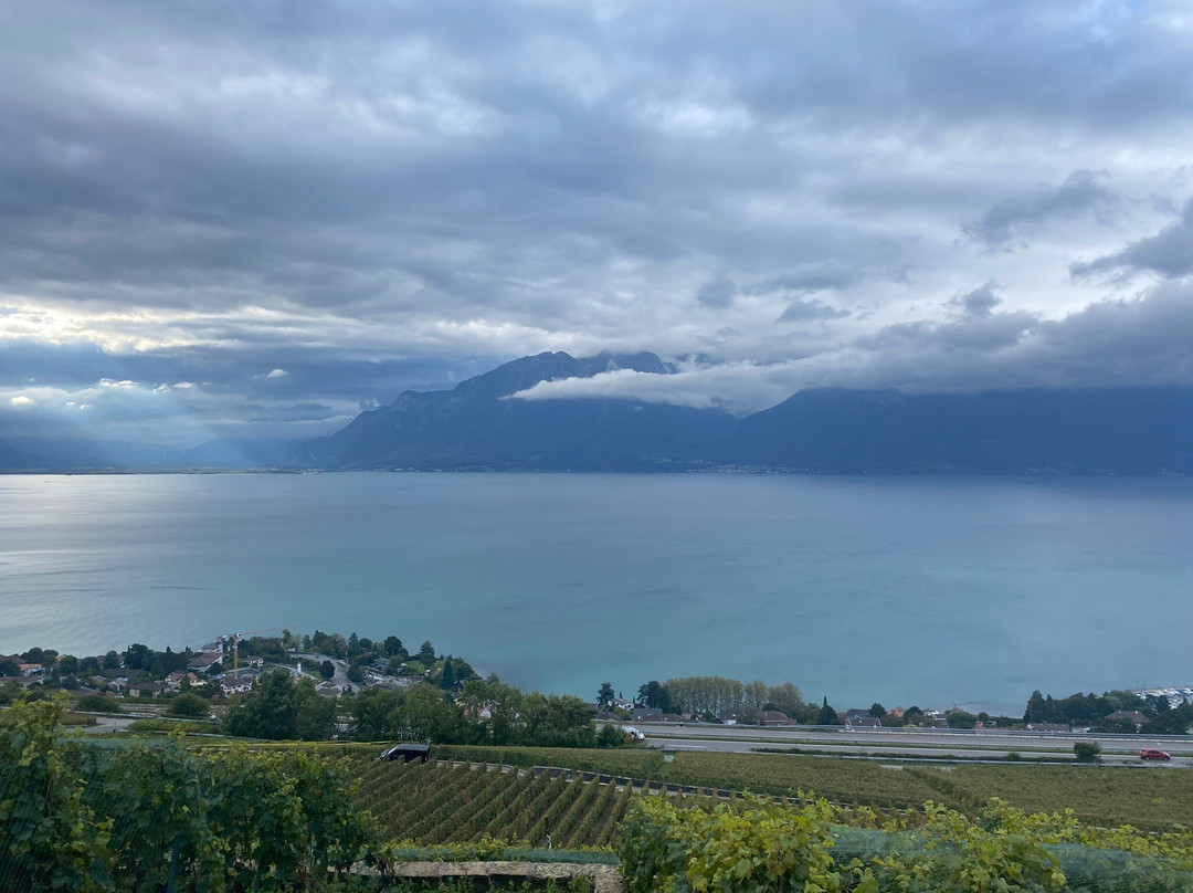 Maurice Neyroud-Chardonne必去景点