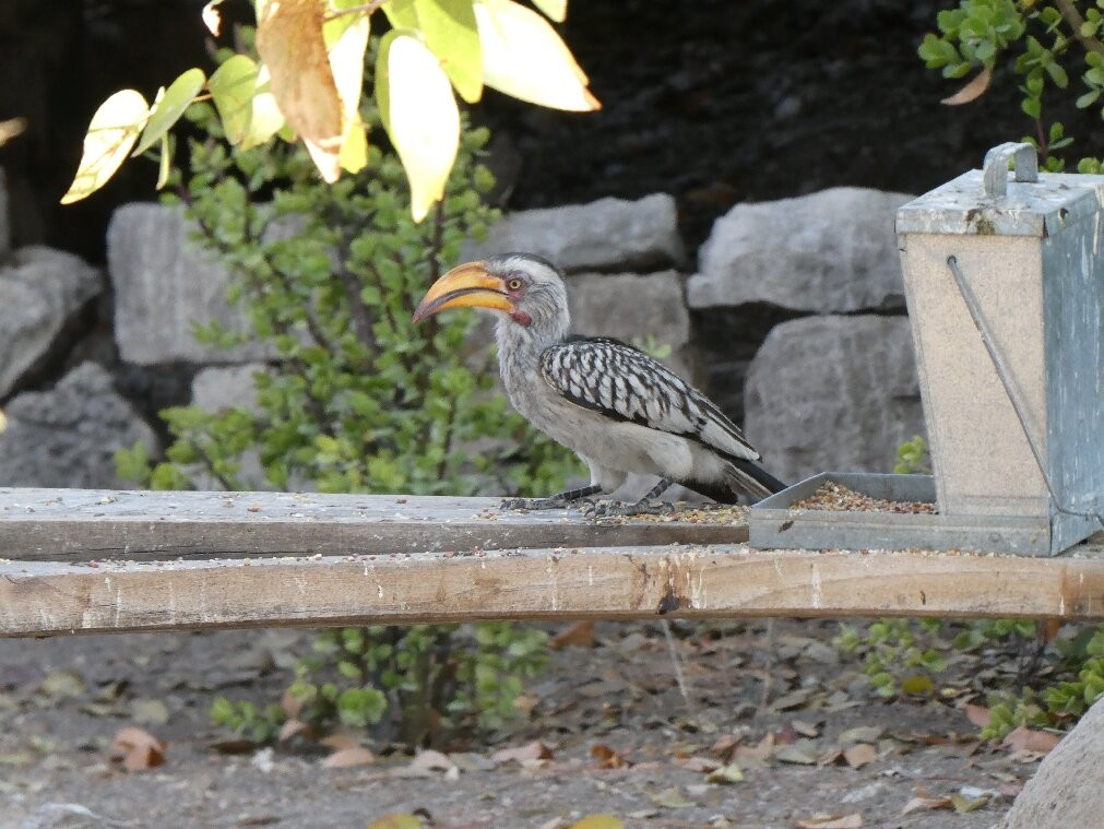 Vreugde Guest Farm主图