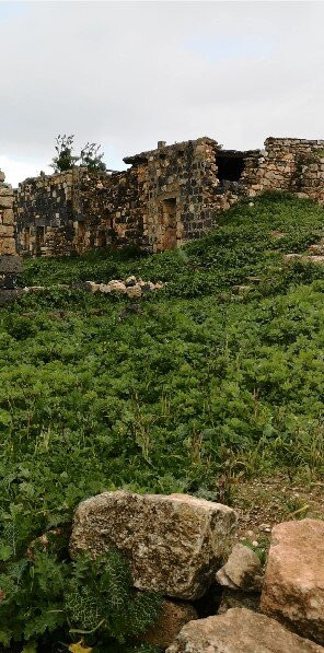 乌姆盖斯博物馆-Umm Qais必去景点