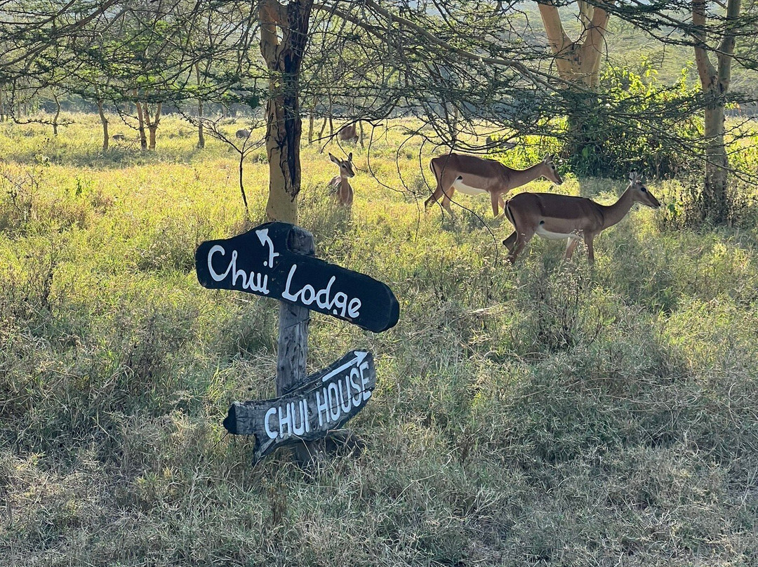 Oserengoni Wildlife Sanctuary