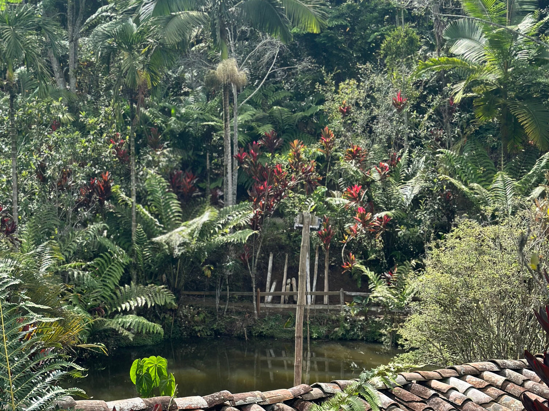 Eco Hotel Los Lagos主图