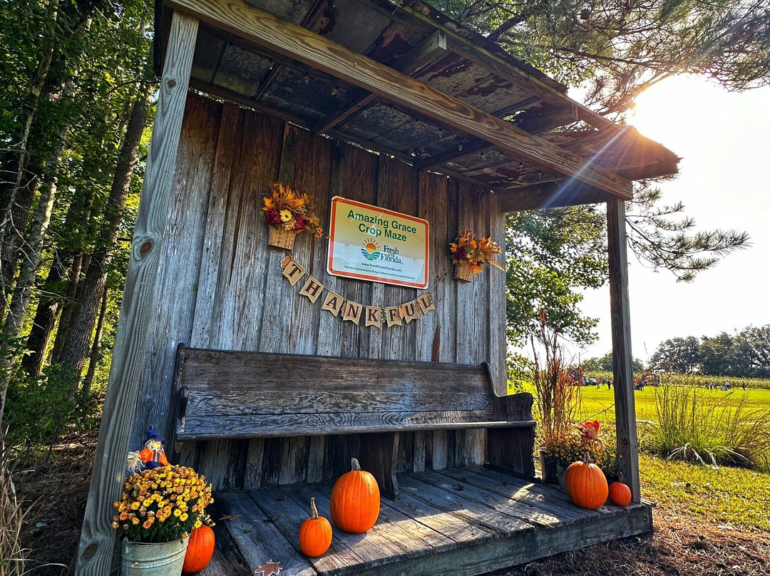 Amazing Grace Family Farms-Green Cove Springs必去景点