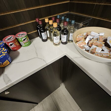 芝加哥奥黑尔温德姆酒店主图