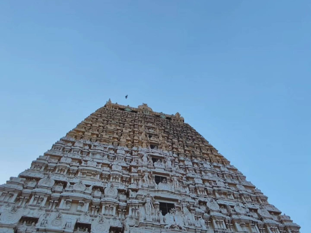 Ulagalantha Perumal Temple景点图片