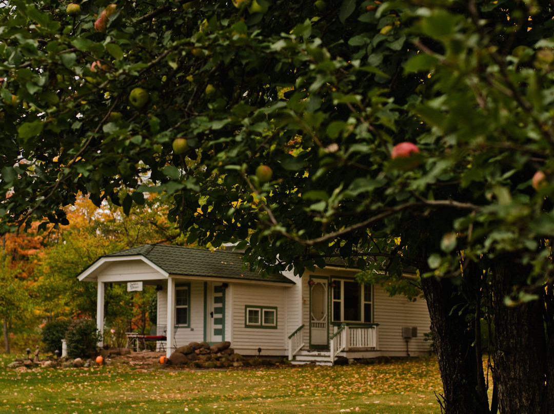 The Inn At Timber Cove主图