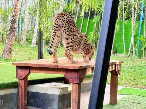Sightseeing Group-曼谷必去景点