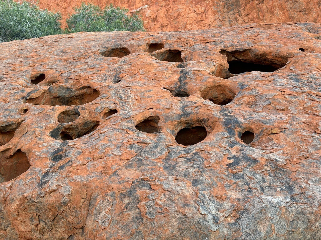 Uluru Segway Tours-乌鲁鲁-卡塔丘塔国家公园必去景点