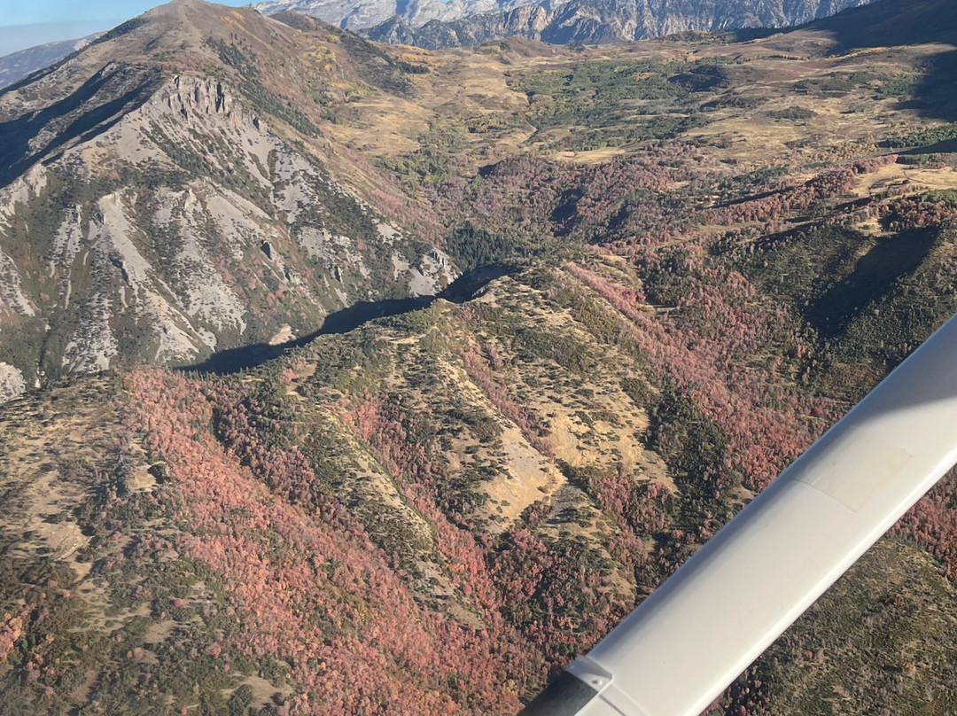 Redtail Air Adventures-莫阿布必去景点