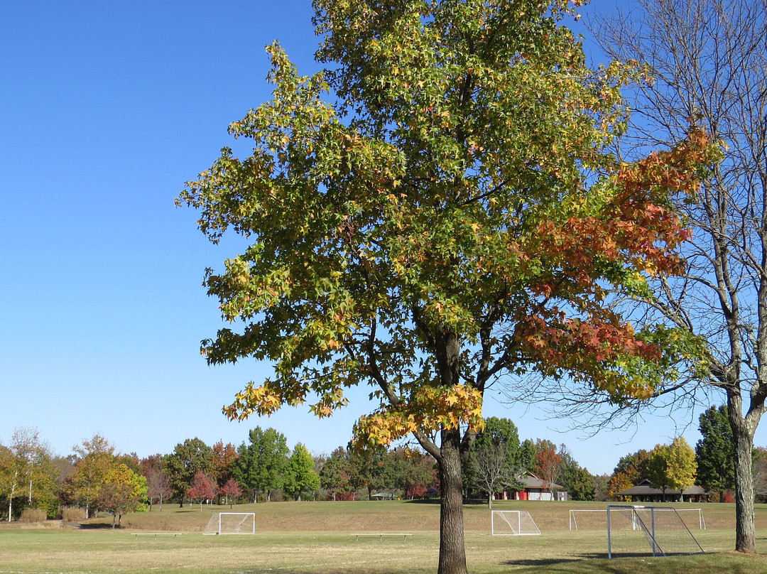Harry Dunham Park景点图片