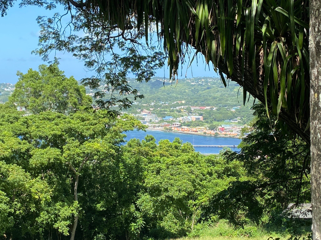 Woody Tours Tobago-Mason Hall必去景点