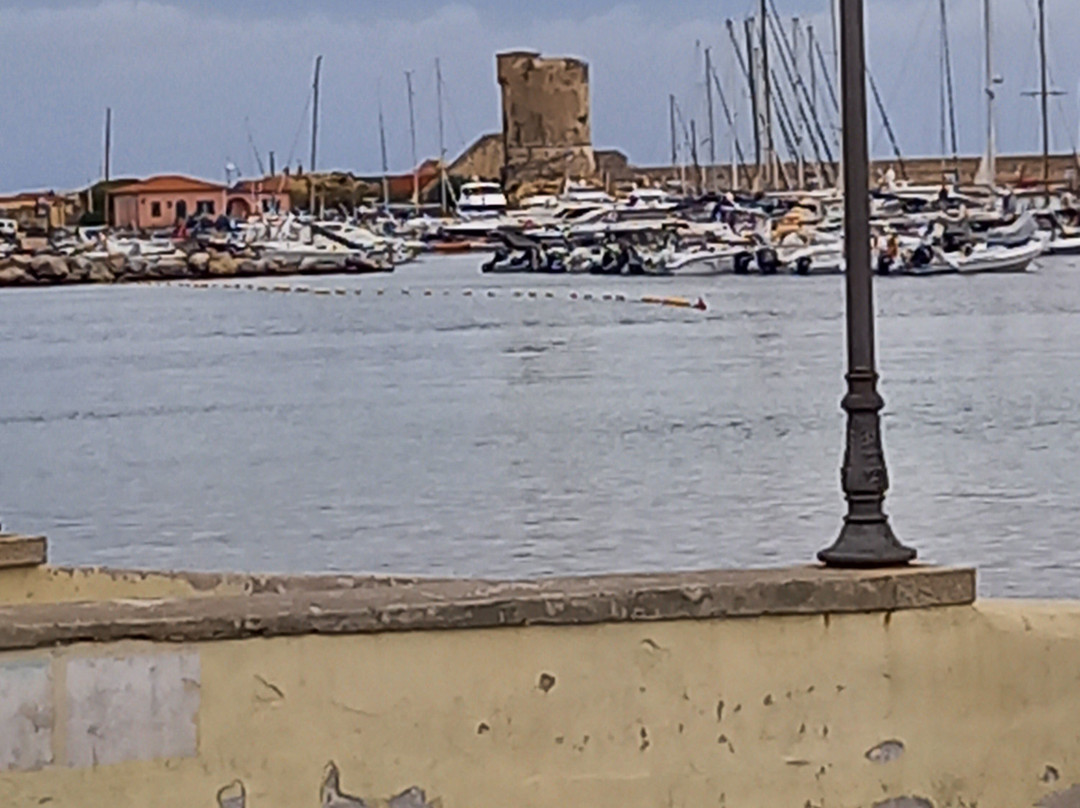 Spiaggia Marciana Marina景点图片