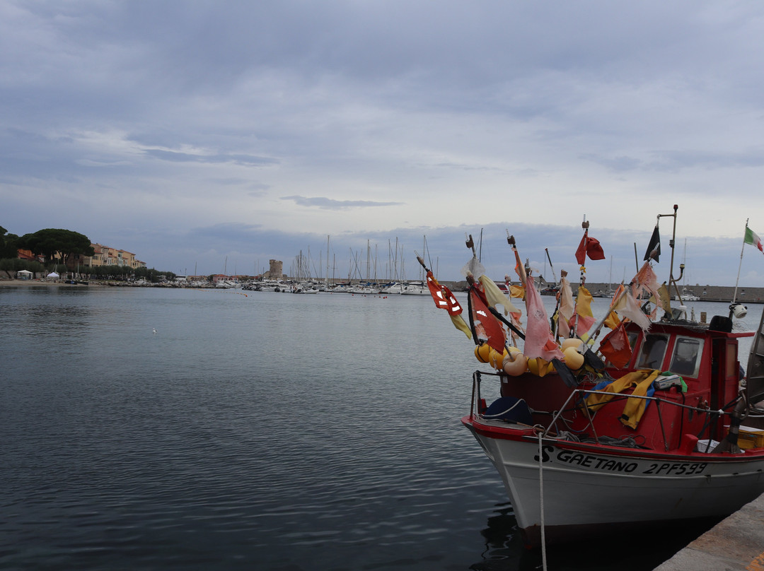 Spiaggia Marciana Marina景点图片