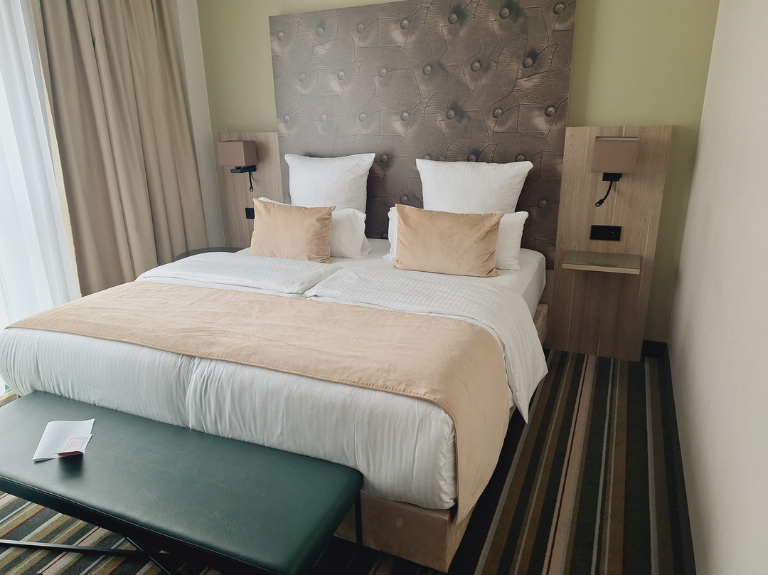 Leonardo Hotel Offenbach Frankfurt主图