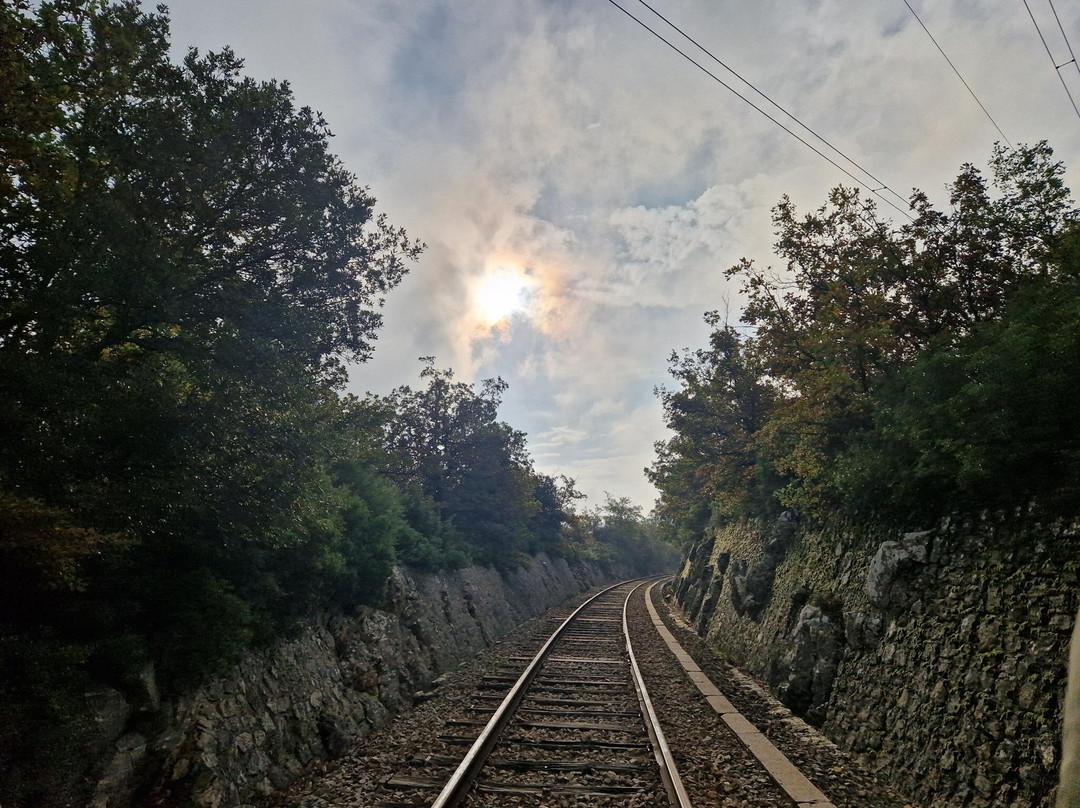 Velorail景点图片